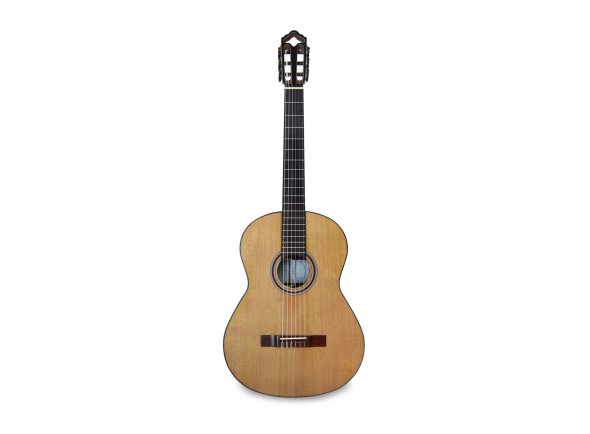 Guitarra Clássica/guitarra clásica APC  9C 