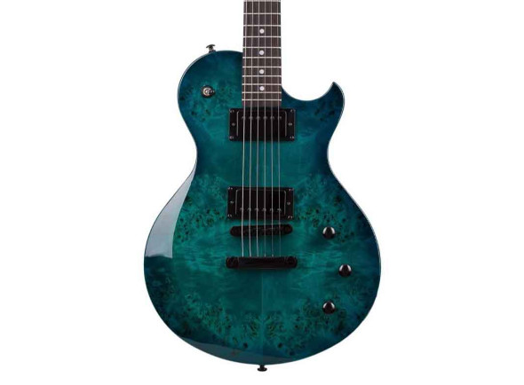 Guitarras Schecter Guitarra elétrica/Guitarras de formato single cut Schecter Guitarras Schecter Guitarra elétrica/Guitarras de formato single cut Schecter